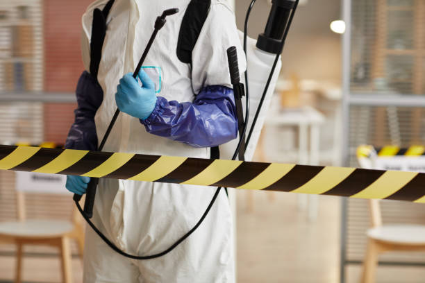 Professional Blood Cleanup technician working in Bunnell, FL